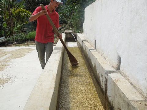 Brazil + Rwanda 02 (Espresso)
