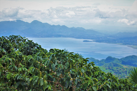 Honduras 07 (Filter)