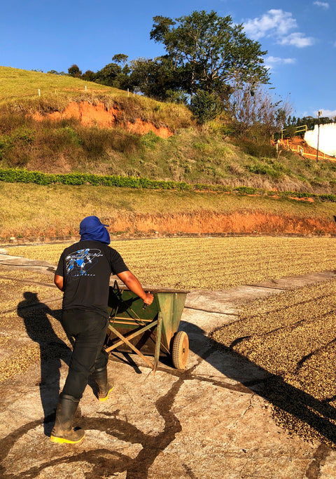 Brazil, Colombia, Guatemala 03 (Espresso)