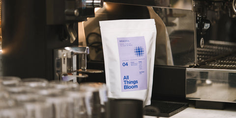 How to Choose the Right Coffee Supplier for Your London Office