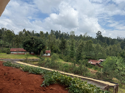 07 Kenya (Filter)