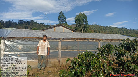 11 Peru Organic (Filter)